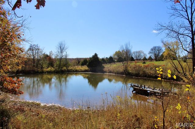 18868 Chickadee Drive, Marble Hill, MO 63764