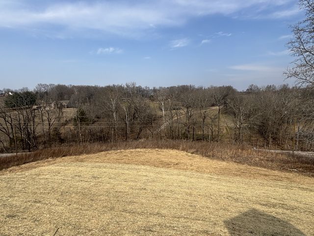 811 N Dickerson Chapel Rd, Lebanon, TN 37087