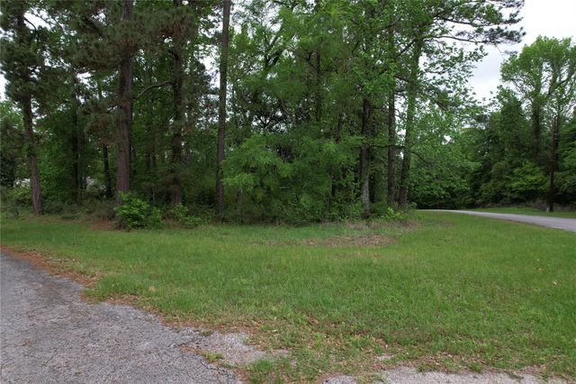 681 Plum Tree, Livingston, TX 77351