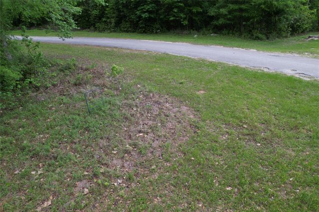 681 Plum Tree, Livingston, TX 77351