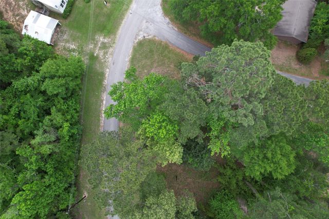 681 Plum Tree, Livingston, TX 77351