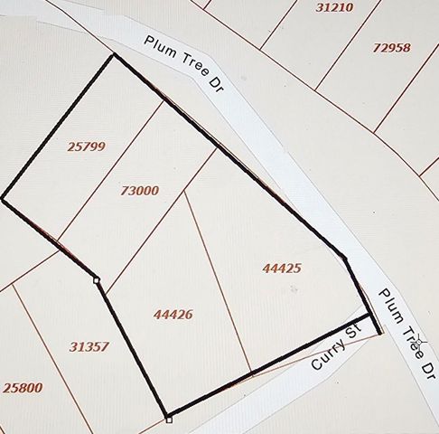 681 Plum Tree, Livingston, TX 77351