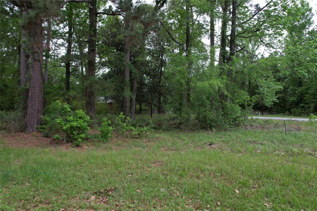 681 Plum Tree, Livingston, TX 77351