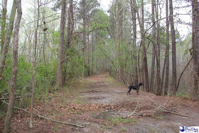 3329 W BoBo Newsom Hwy, Hartsville, SC 29550