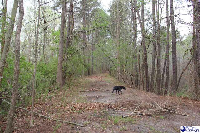 3329 W BoBo Newsom Hwy, Hartsville, SC 29550