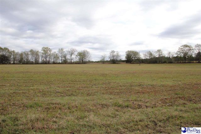 3329 W BoBo Newsom Hwy, Hartsville, SC 29550