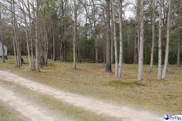 3329 W BoBo Newsom Hwy, Hartsville, SC 29550