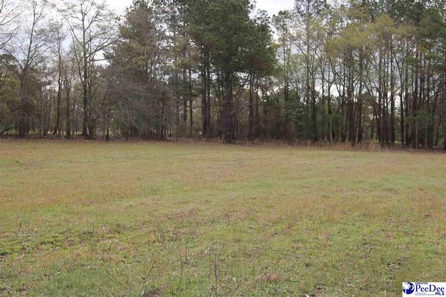 3329 W BoBo Newsom Hwy, Hartsville, SC 29550