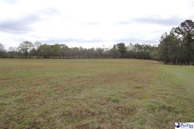 3329 W BoBo Newsom Hwy, Hartsville, SC 29550