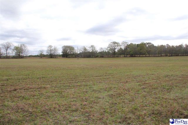 3329 W BoBo Newsom Hwy, Hartsville, SC 29550