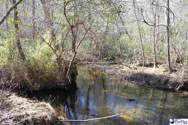 3329 W BoBo Newsom Hwy, Hartsville, SC 29550