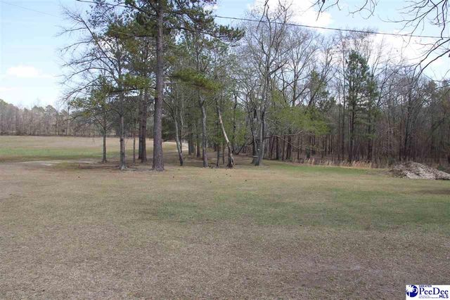 3329 W BoBo Newsom Hwy, Hartsville, SC 29550