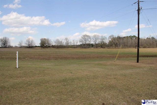 3329 W BoBo Newsom Hwy, Hartsville, SC 29550