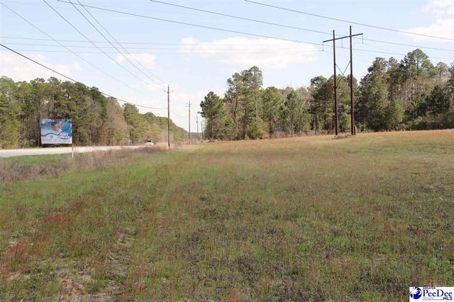 3329 W BoBo Newsom Hwy, Hartsville, SC 29550