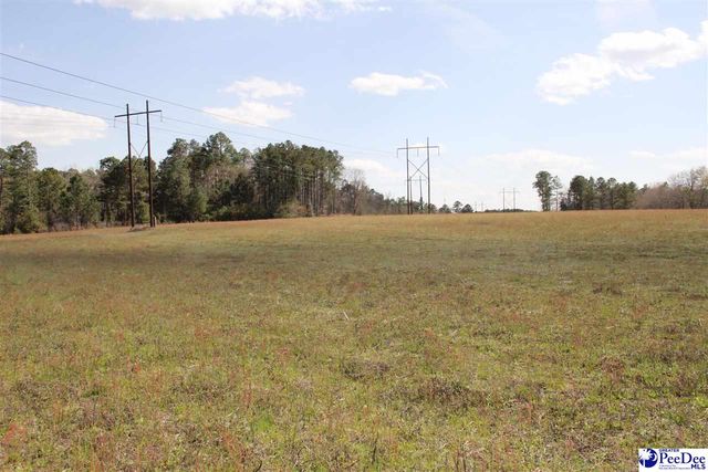 3329 W BoBo Newsom Hwy, Hartsville, SC 29550