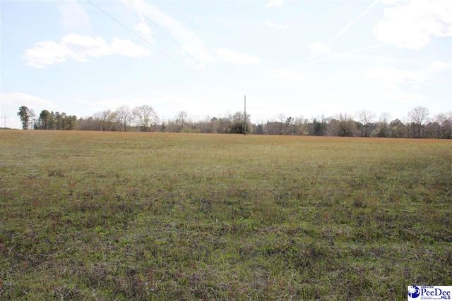 3329 W BoBo Newsom Hwy, Hartsville, SC 29550