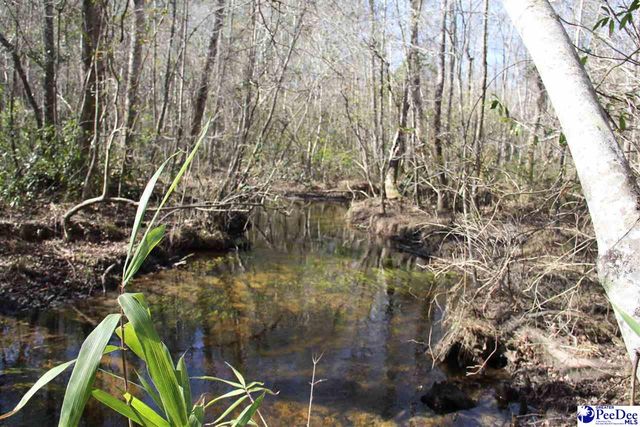 3329 W BoBo Newsom Hwy, Hartsville, SC 29550