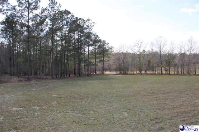 3329 W BoBo Newsom Hwy, Hartsville, SC 29550