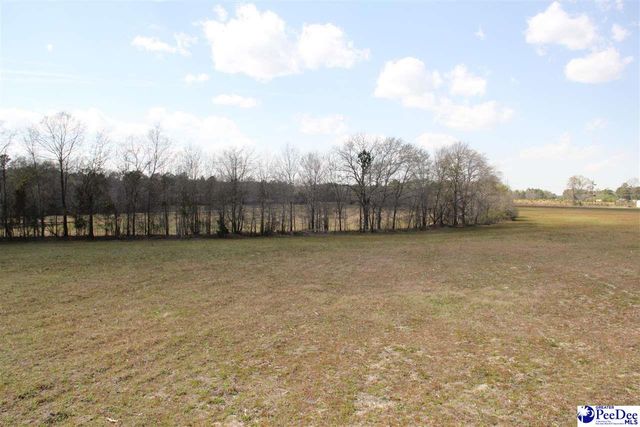 3329 W BoBo Newsom Hwy, Hartsville, SC 29550