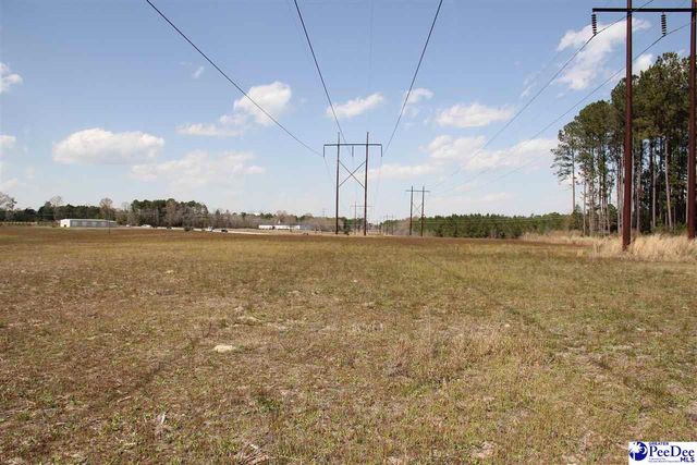 3329 W BoBo Newsom Hwy, Hartsville, SC 29550