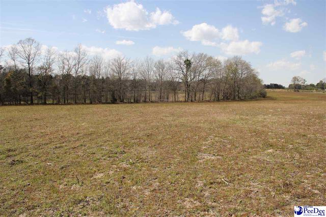 3329 W BoBo Newsom Hwy, Hartsville, SC 29550