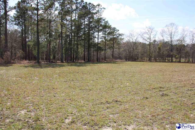 3329 W BoBo Newsom Hwy, Hartsville, SC 29550