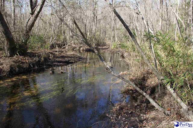 3329 W BoBo Newsom Hwy, Hartsville, SC 29550