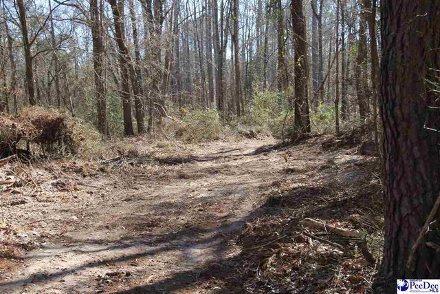 3329 W BoBo Newsom Hwy, Hartsville, SC 29550