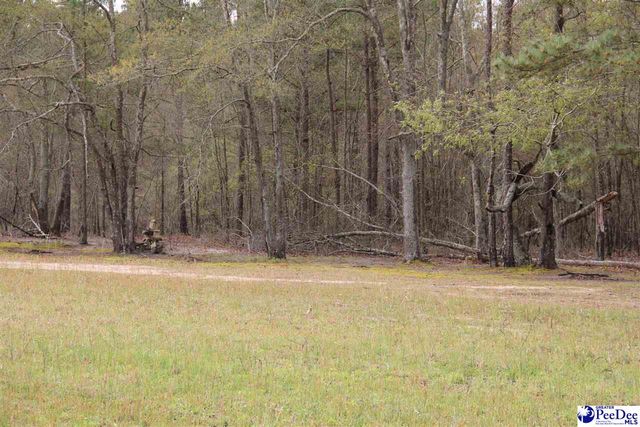 3329 W BoBo Newsom Hwy, Hartsville, SC 29550