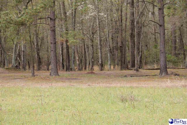 3329 W BoBo Newsom Hwy, Hartsville, SC 29550