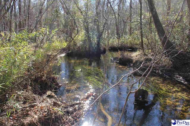 3329 W BoBo Newsom Hwy, Hartsville, SC 29550