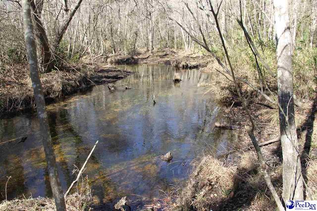 3329 W BoBo Newsom Hwy, Hartsville, SC 29550