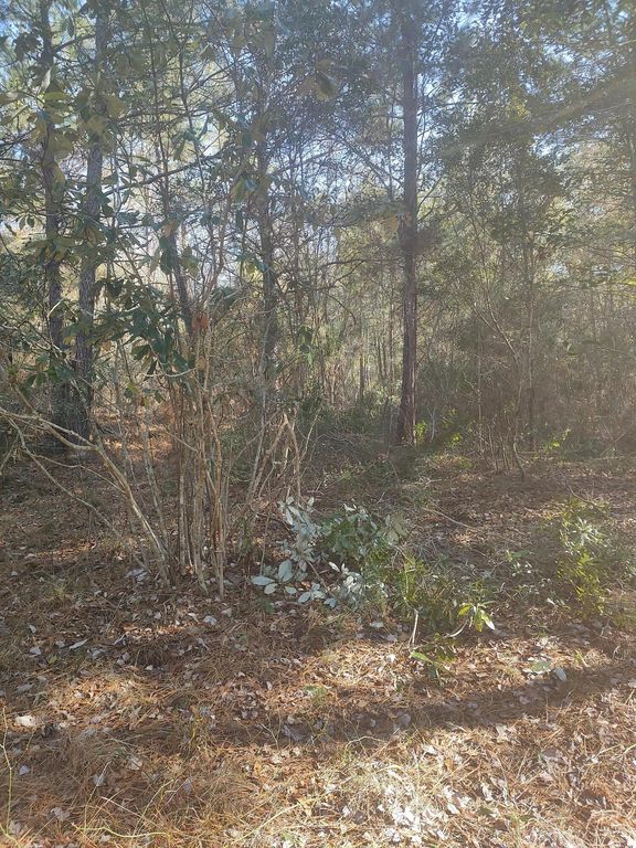 Image 2 of property listing at 1218 Misty Ridge Lane, Walterboro, SC 29488