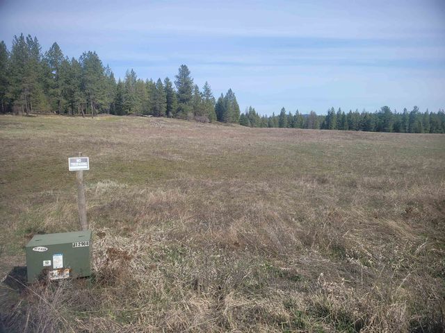 4528 Stonebrook Way, Springdale, WA 99173 property photo