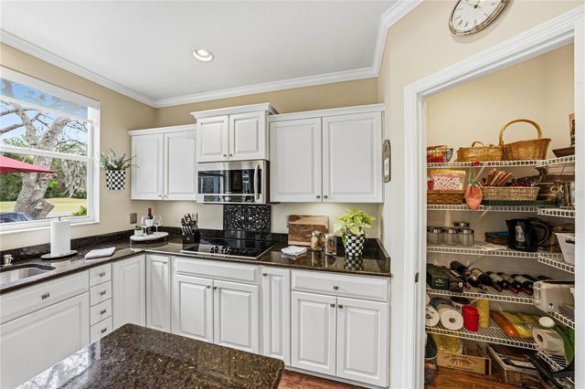 8785 ASHWORTH DRIVE, Tampa, FL 33647