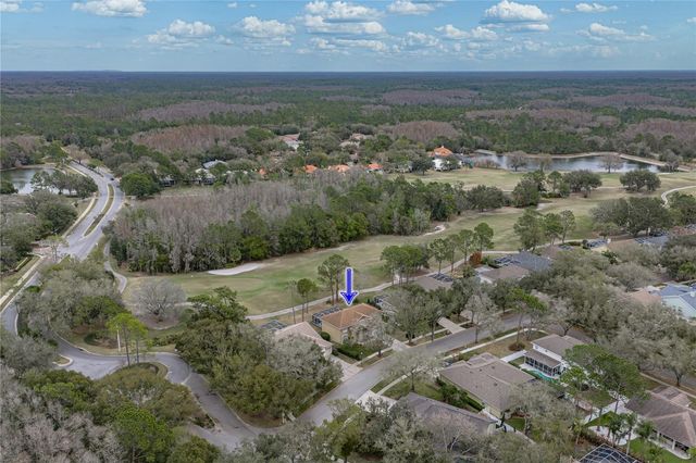 8785 ASHWORTH DRIVE, Tampa, FL 33647