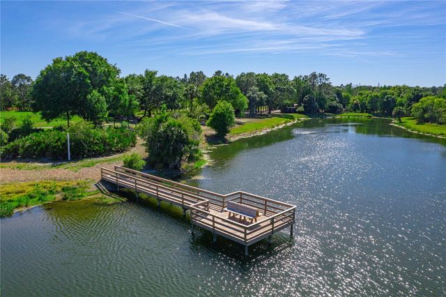 8785 ASHWORTH DRIVE, Tampa, FL 33647