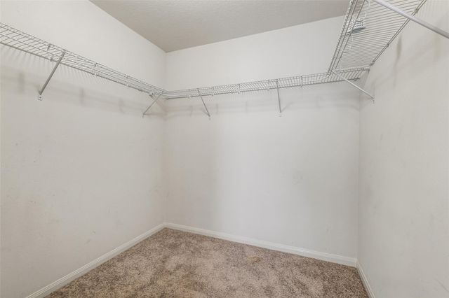 22719 Tabberts Way, Hockley, TX 77447