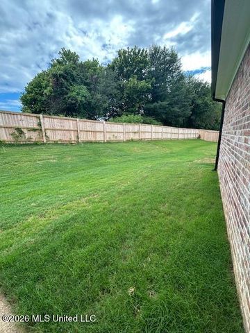 6039 Hickory Point Drive, Walls, MS 38680