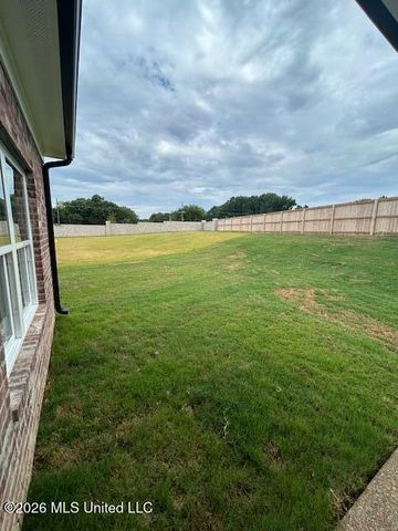 6039 Hickory Point Drive, Walls, MS 38680