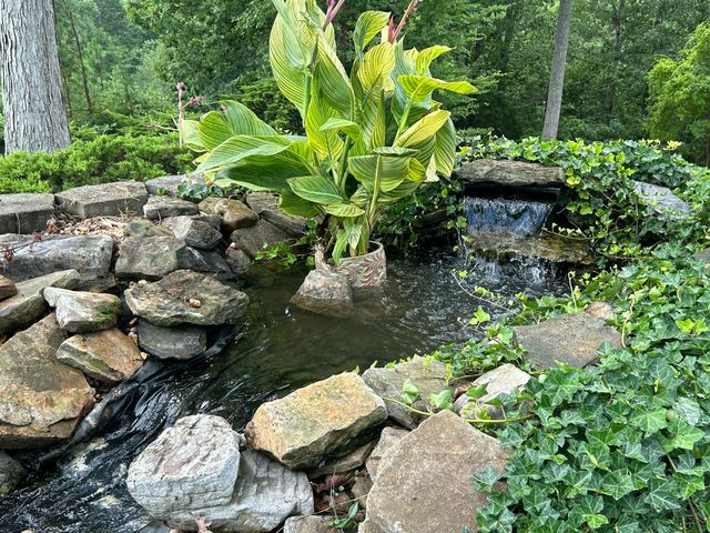 5910 Rainbow Springs Drive, Chattanooga, TN 37416