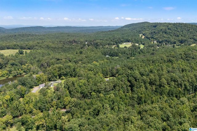 5698 MILES SPRING ROAD, Pinson, AL 35126