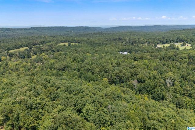 5698 MILES SPRING ROAD, Pinson, AL 35126