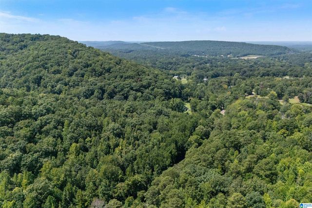 5698 MILES SPRING ROAD, Pinson, AL 35126