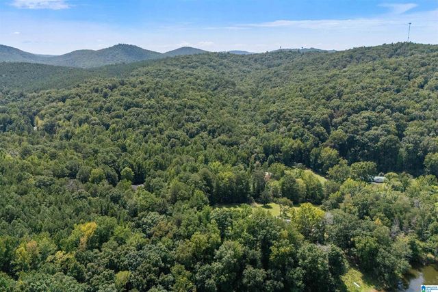 5698 MILES SPRING ROAD, Pinson, AL 35126