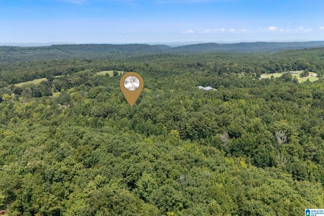 5698 MILES SPRING ROAD, Pinson, AL 35126