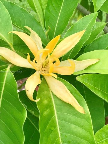 2481 Eagle Watch Ct ., Weston, FL 33327