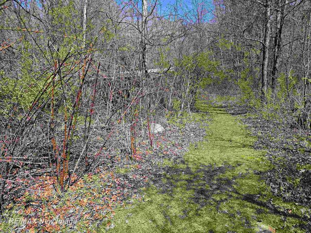 6135 Fort Road, Bridgeport Twp, MI 48415