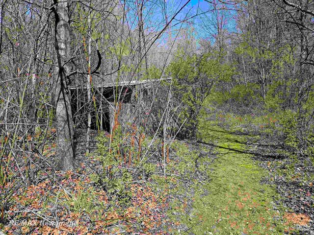 6135 Fort Road, Bridgeport Twp, MI 48415