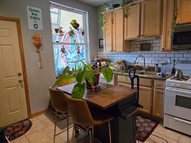 948 N California Avenue, Chicago, IL 60622